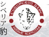 Сибирский Барс